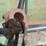 john-deere-27-image-11