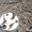 mayrath-60'-8"-electric-drive-auger-image-9