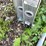 #7143-•-davidson-aluminum-extension-ladder-image-5