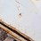 angle-tool-box-with-tools,-screwdrivers-image-5