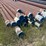 #26-•-large-lot-of-pipe-|-more-info-coming-soon-image-332