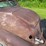 #1369-•-1936-terraplane-car-image-19