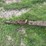 #2221-•-korhumel-industries-6072-fertilizer-gravity-wagon-image-23
