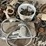 case-ih-3-image-15