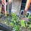 #7147-•-handled-tools-image-4