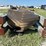 conveyor-belt-image-7