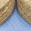 2-continental-tires-225/75-r16-image-4
