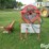 snowco-6'-grain-cleaner-image-2