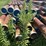 #26-•-large-lot-of-pipe-|-more-info-coming-soon-image-399