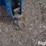 dmi-ecolo-tiger-730-image-9