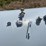 #6510-•-1000-gallon-lp-propane-tank-image-4