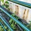 #7146-•-metal-livestock-gate-image-3