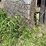#7141-•-several-galvanized-livestock-panels-image-5