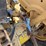 ford-545a-image-26