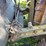 caterpillar-crawler-loader-image-9