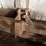 three-point-tractor-quick-hitch-with-adjustable-top-link-image-2