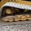 2019-caterpillar-299d3-image-13