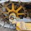 caterpillar-thirty-image-28