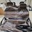 off-road-golf-cart-(see-description)-image-11