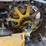 caterpillar-thirty-image-47