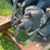 cushman-8hp-image-20
