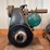 (2)-small-engines-image-3