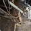 ih-2-pt.-hitch-sickle-bar-mower-image-4