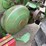 john-deere-60-image-45