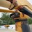 2013-ford-f550-xl-image-29