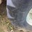 ditch-witch-3700dd-image-14