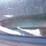 2002-ford-f150-image-13