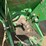 2004-john-deere-9620-image-15
