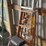 assorted-step-and-extension-ladders-image-3