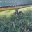 john-deere-635d-image-8