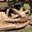 caterpillar-2-ton-image-22