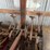 case-ih-1820-image-6