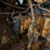 caterpillar-d4600-image-8