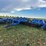 landoll-6230-image-1