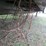 homemade-ta-image-20