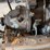 petter-engine-image-12