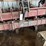 case-ih-1820-image-1