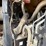2016-caterpillar-938k-image-25