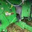 2011-john-deere-9870-sts-image-14
