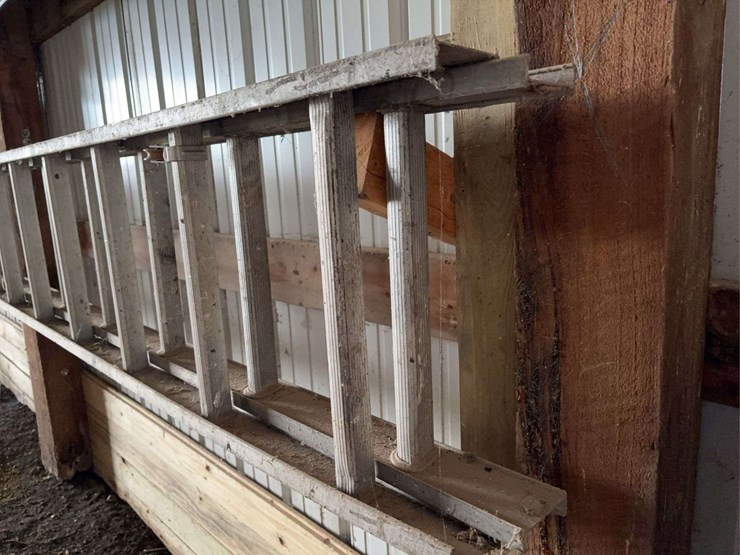 aluminum-extension-ladder-image-4