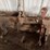 three-point-tractor-quick-hitch-with-adjustable-top-link-image-1