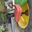 john-deere-60-image-33