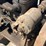 fuller-johnson-6hp-engine-image-19