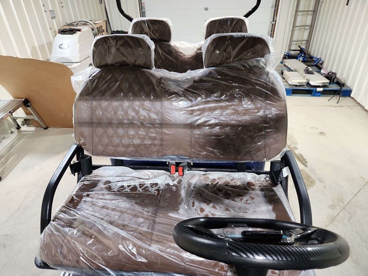 off-road-golf-cart-(see-description)-image-11