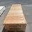 greenhouse-12"x60"-eva-6-mil-image-5