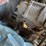 bobcat-743-image-44
